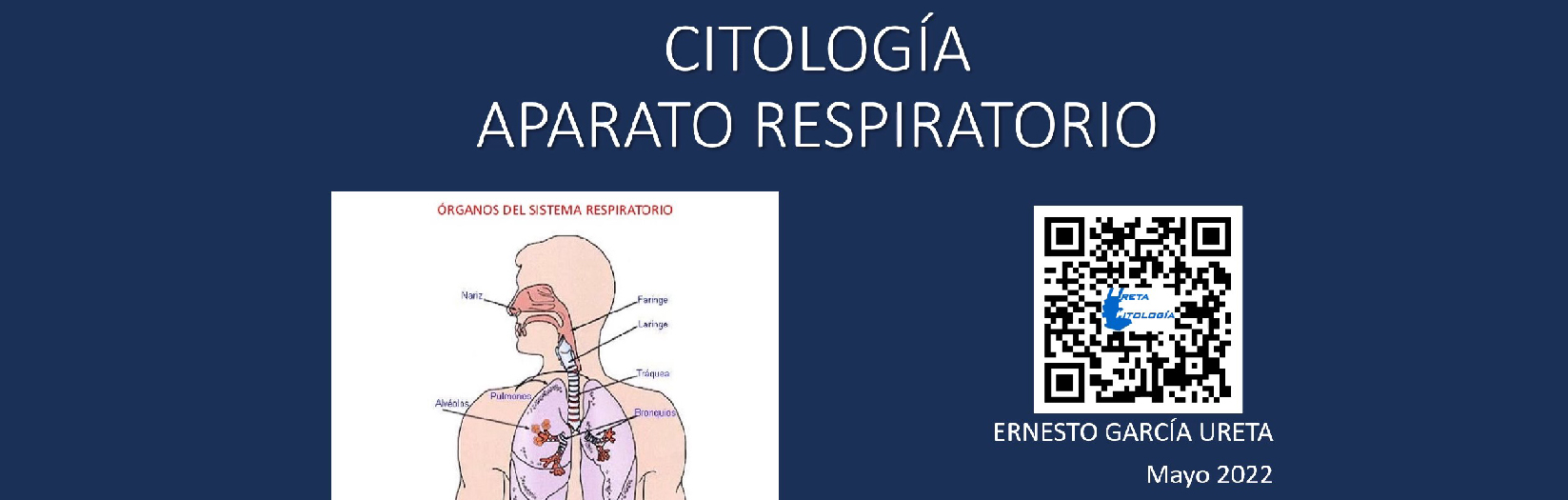 Citología del Aparato Respiratorio